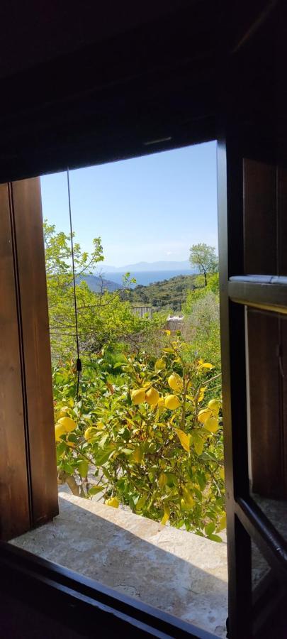 Alikias Country House Panormos  المظهر الخارجي الصورة
