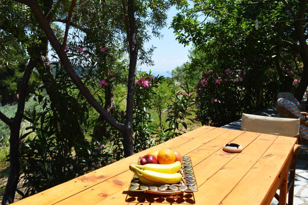 Alikias Country House Panormos  المظهر الخارجي الصورة