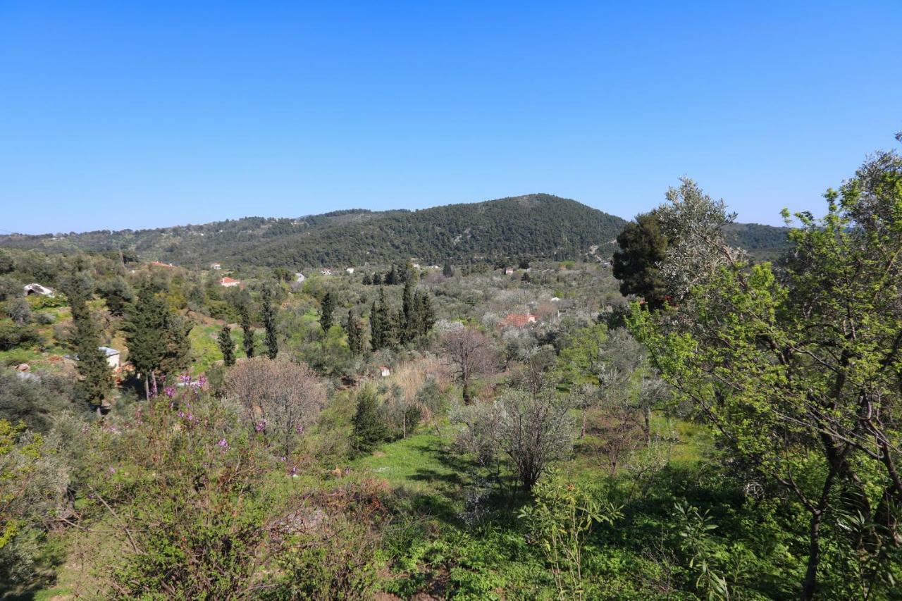 Alikias Country House Panormos  المظهر الخارجي الصورة