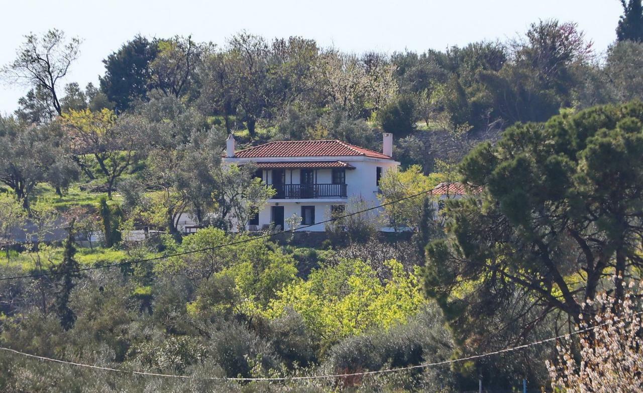 Alikias Country House Panormos  المظهر الخارجي الصورة